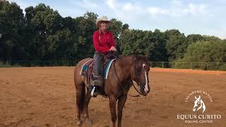 Horse Training with Ashley Purdin: Center Serpentine - Equus Curito Equine Center