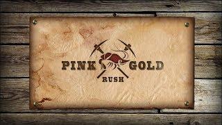 Pink Gold Rush | A WGCU Fishing Documentary | Florida Shrimpers