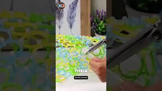 ️ DIY Clever Way to Use This Material – So Simple, So Brilliant! ️