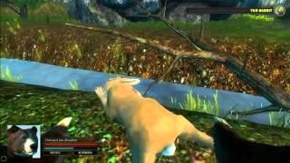 BEAR SIMULATOR : Life Of A Bear ! Part 1