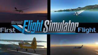 MICROSOFT FLIGHT SIMULATOR FIRST LOOK l CAPTAIN BLUE SHELL