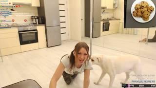 OlesyaBulletka - Dog Fail 2