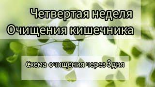 Четвёртая неделя Очищения кишечника чистим через 3 дня