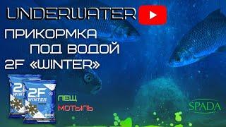 "UNDERWATER 2F" НОВОЕ ВИДЕО!!! ЛЕЩ ПОД ВОДОЙ!!! ПРИКОРМКА ЗИМНЯЯ ЛЕЩ (МОТЫЛЬ)