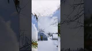 Зимнее чудо: каплевидная теплица без снега.