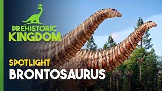 Prehistoric Kingdom | Brontosaurus Spotlight