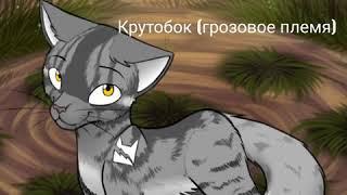 Тест "Угадай кота-воителя" / Как хорошо ты знаешь КВ?