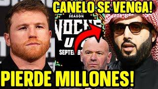 CANELO HUMILLA A TURKI Y LE HACE PERDER 20 MILLONES DE DOLARES POR DESAFIARLO - RIVALIDAD EXPLICADA