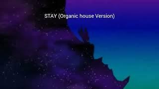 STAY (Organic house Version) BGA