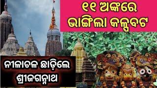 ଭାଙ୍ଗିଲା କଳ୍ପବଟ ୧୧ ଅଙ୍କରେ| ନୀଳାଚଳ ଛାଡ଼ିଲେ ଶ୍ରୀ ଜଗନ୍ନାଥ|Satya Malika|Padmalochan