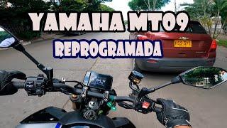 Manejamos Yamaha MT09 desde de un Año 