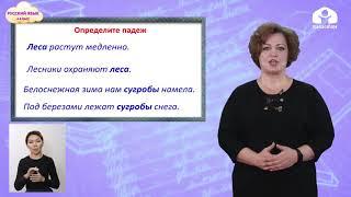 4-класс | Русский язык |  Именительный и винительный падежи имён существительных