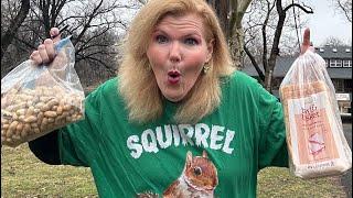 Catch the squirrel whisperer Cynthia Beaumont in action with her squirrels ￼