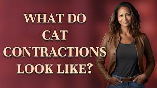 What do cat contractions look like?