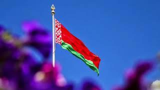 Belarus State Flag Square | 4K Ultra HD | #zomradPRO Group EK-BIR.COM | Berzan