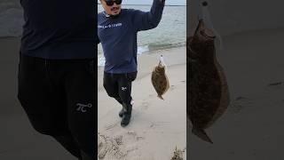 Hooking up all types of fish at the beach. Summer flounder