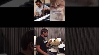 Funny Cat Music Duet with Sherzod Ergashev