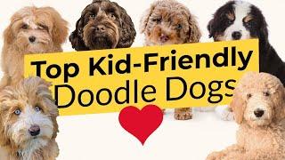 Top Kid-Friendly Doodle Dogs ️