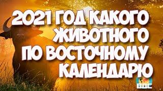 2021 год какого животного по восточному календарю