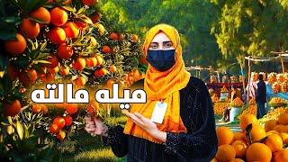 گزارش ویژه از میله مالته در شهر جلال آباد | Nangarhar Malta