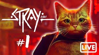  STRAY | СИМУЛЯТОР КОТА | ПРОХОЖДЕНИЕ НА РУССКОМ #1