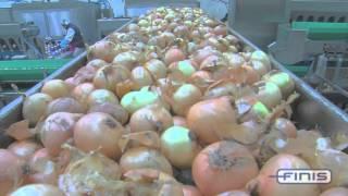 Finis onion processing and peeling