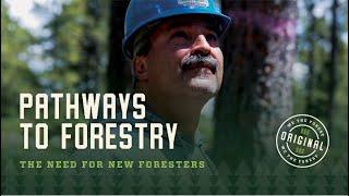 Pathways to a Forestry Degree