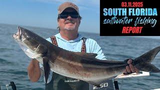 SOUTH FLORIDA SALTWATER FISHING REPORT (03/11/2025)