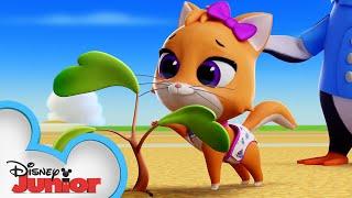 Home Tree Home | T.O.T.S. | @disneyjr