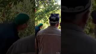 хирсро кумак карданд  дар точикобод ширинчашма #tajikistan Таджикстан  #