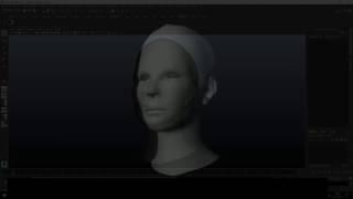 Project They Are - walkthrough proces faceshift