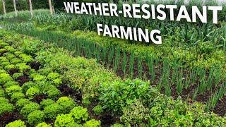 How to Create a TRULY Resilient Farm