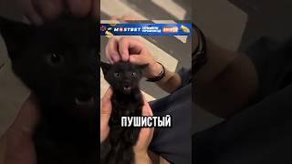 КОТЁНОК УДИВИЛ РЕБЯТ!