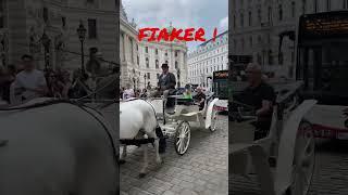 FIAKER RULES THE ROAD IN VIENNA!!