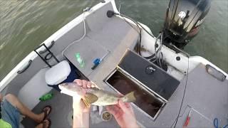 Catching a Bunch of Whiting and a Shark Beaufort SC Fishing