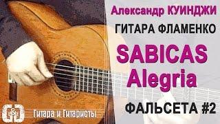 Испанская гитара фламенко  Sabicas Alegria  #2  Не Дидюля