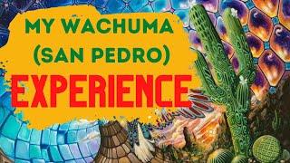 My Wachuma San Pedro Experience