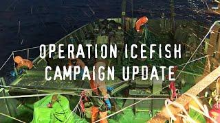The Sam Simon Retrieves Illegal Gill Net Abandoned by Poachers