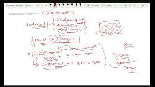 SEDIMENTARY Previous year Q&A and Numerical class video-8: BRAHMASTRA