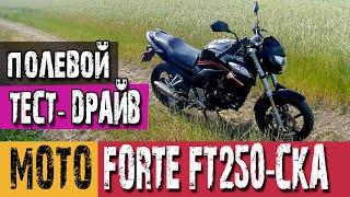 Полевой тест-драйв Forte FT 250 CKA. Впечатления от езды.