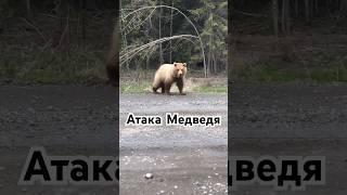 Когда тебя хочет сожрать Медведь 2 #медведь #камчатка