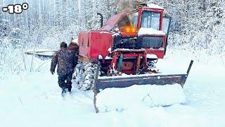 Пробиваем Дорогу в НОВУЮ ДЕЛЯНКУ на ТДТ 55 Трелевочник! Работа в лесу