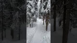 Winter in Banff, Lake Louise Trail