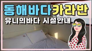 동해 포항 바다뷰 카라반 펜션 / 바다카라반 / 유니의바다 구룡포점 / 시설 카라반 안내 영상