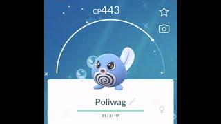 Shiny Poliwag