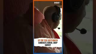 CM Yogi Reviews Crop Damage From Air On Lucknow-Auraiya Route #shorts #yogiadityanath #uttarpradesh
