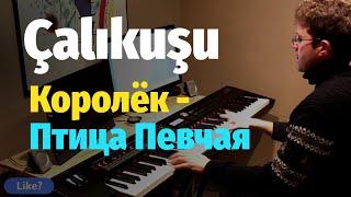 Çalıkuşu  - Soundtrack - Piano Cover & Sheet / Королек - Птица Певчая - Пианино, Ноты