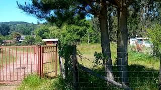 Parcela sector Las Huellas (Folilco, Los Lagos sur de Chile, video IX)