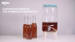 CONTINIOUS BREW IN THE KEFIRKO KOMBUCHA FERMENTER