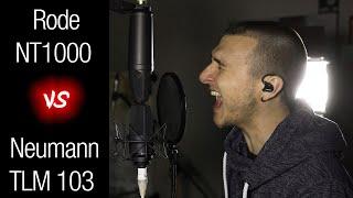 Neumann TLM 103 vs Rode NT1000 - Mic Comparison (Vocal, Scream, Guitar)